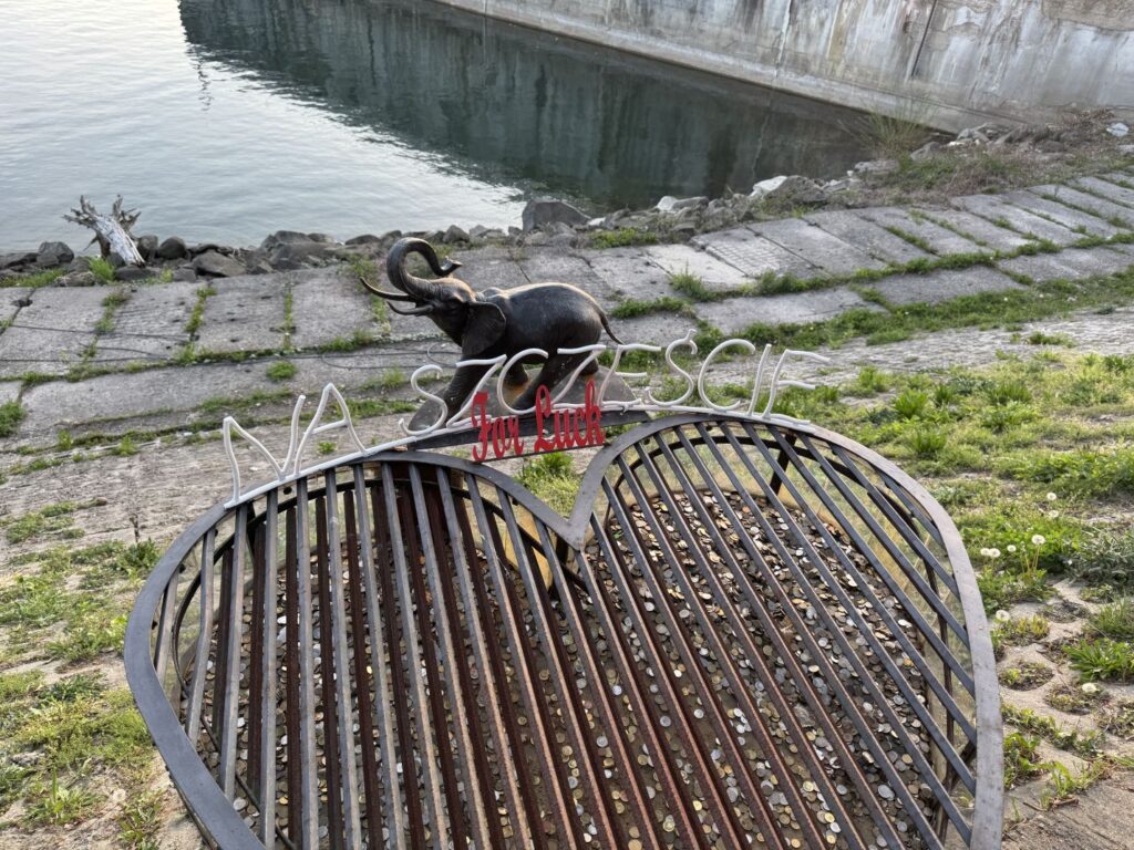 zapora Solina słonik