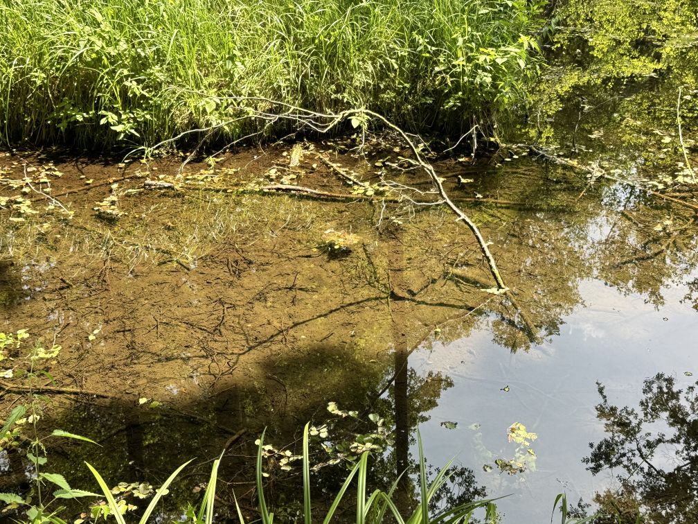 niebieskie źródła 6