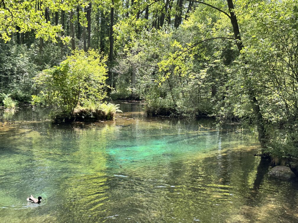 niebieskie źródła 2