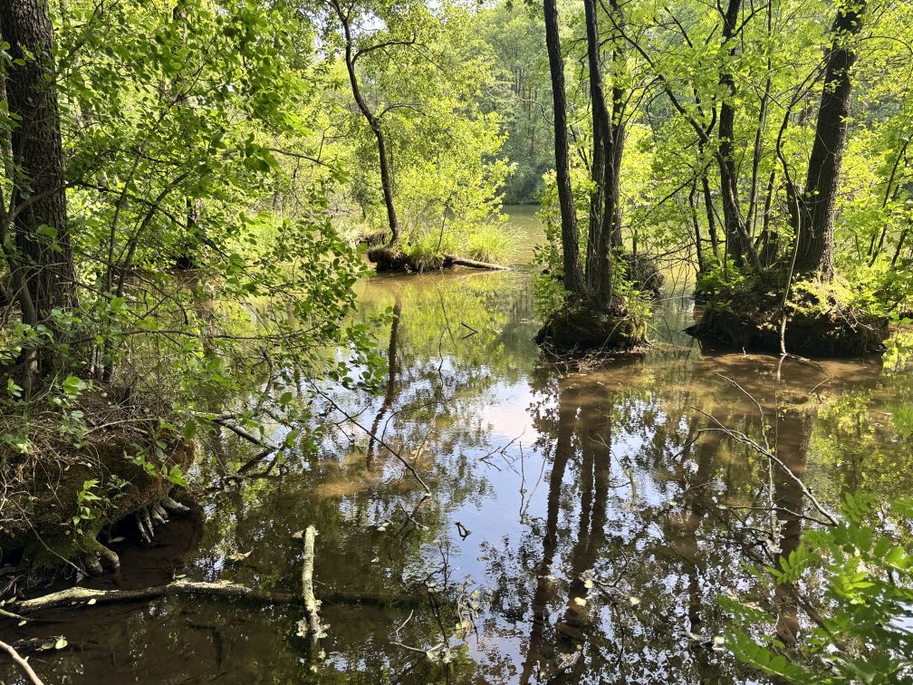 niebieskie źródła 3