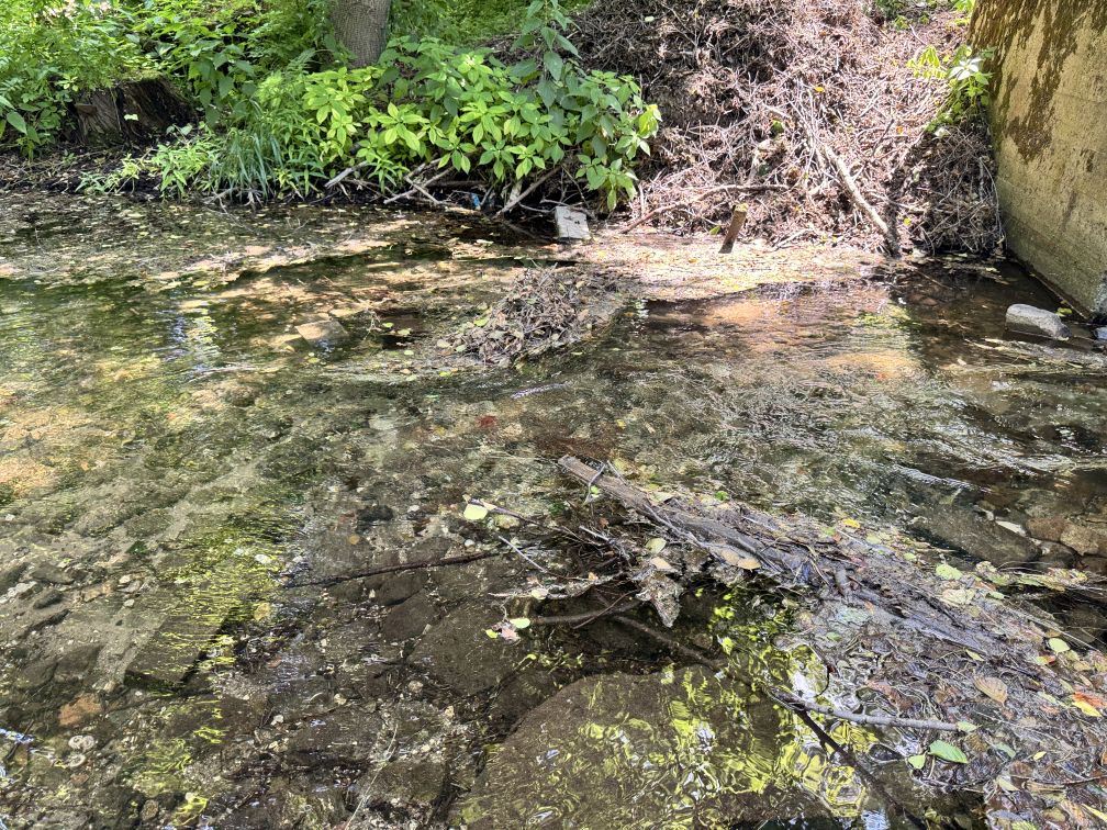 niebieskie źródła 4